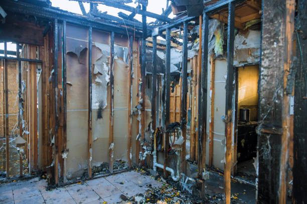 Professional Fire Damage Assessment technician working in Greensburg, IN